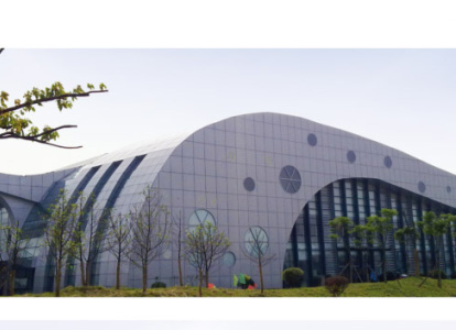 沙坪坝会议中心外景网架工程